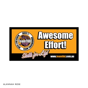 Product Image of Team Taekwondo DL Awesome Effort Postcards