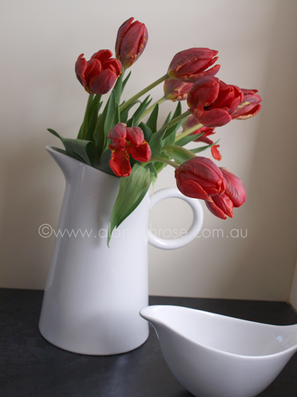 tulips in jug